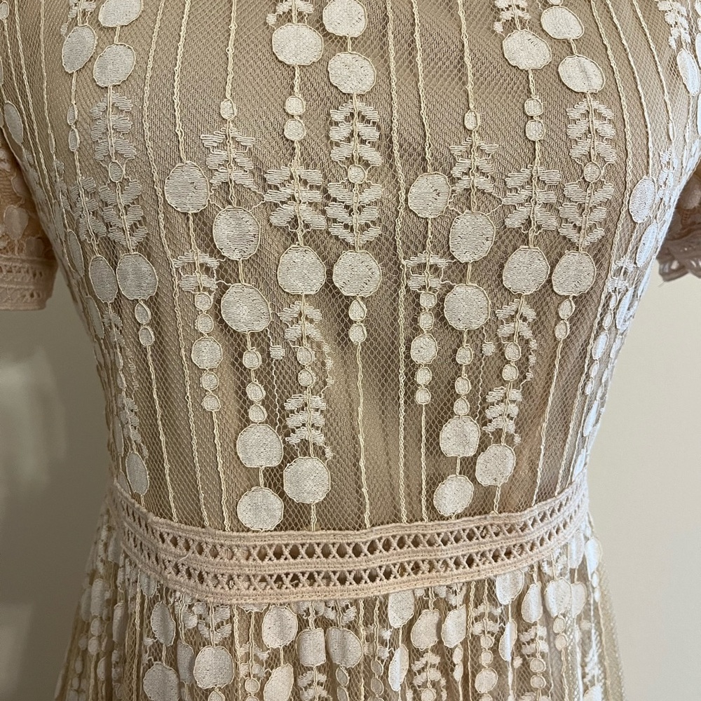 Tea n Rose Lace Midi Dress in Cream - Picture 4 of 5